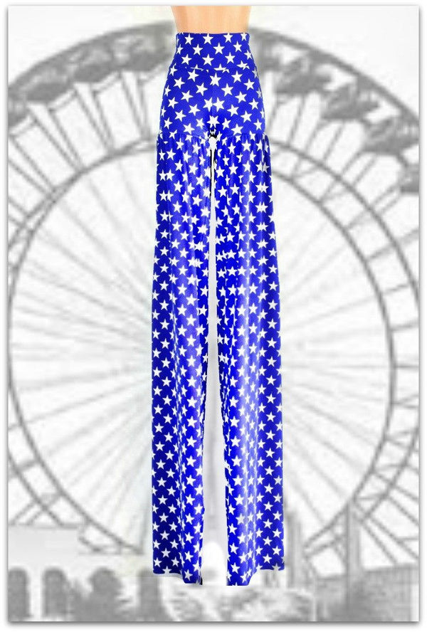 Stilt Pants in Patriotic Blue & White Star Print - 1