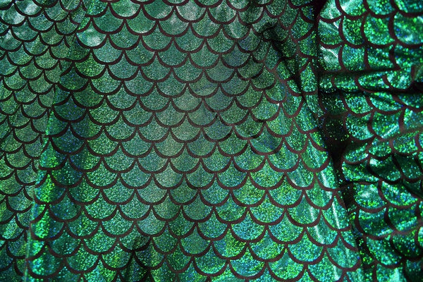 High Waist Mermaid Skirt with Puddle Train - 9