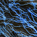 UV Blue Lightning Fabric - 3