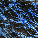 UV Blue Lightning Fabric - Coquetry Clothing