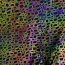 Poisonous Spandex Fabric - Coquetry Clothing