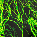 UV  Green Lightning Print Fabric - 3