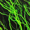 UV  Green Lightning Print Fabric - 1