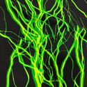 UV  Green Lightning Print Fabric - 4