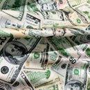 Cold Cash Print Spandex Fabric - Coquetry Clothing