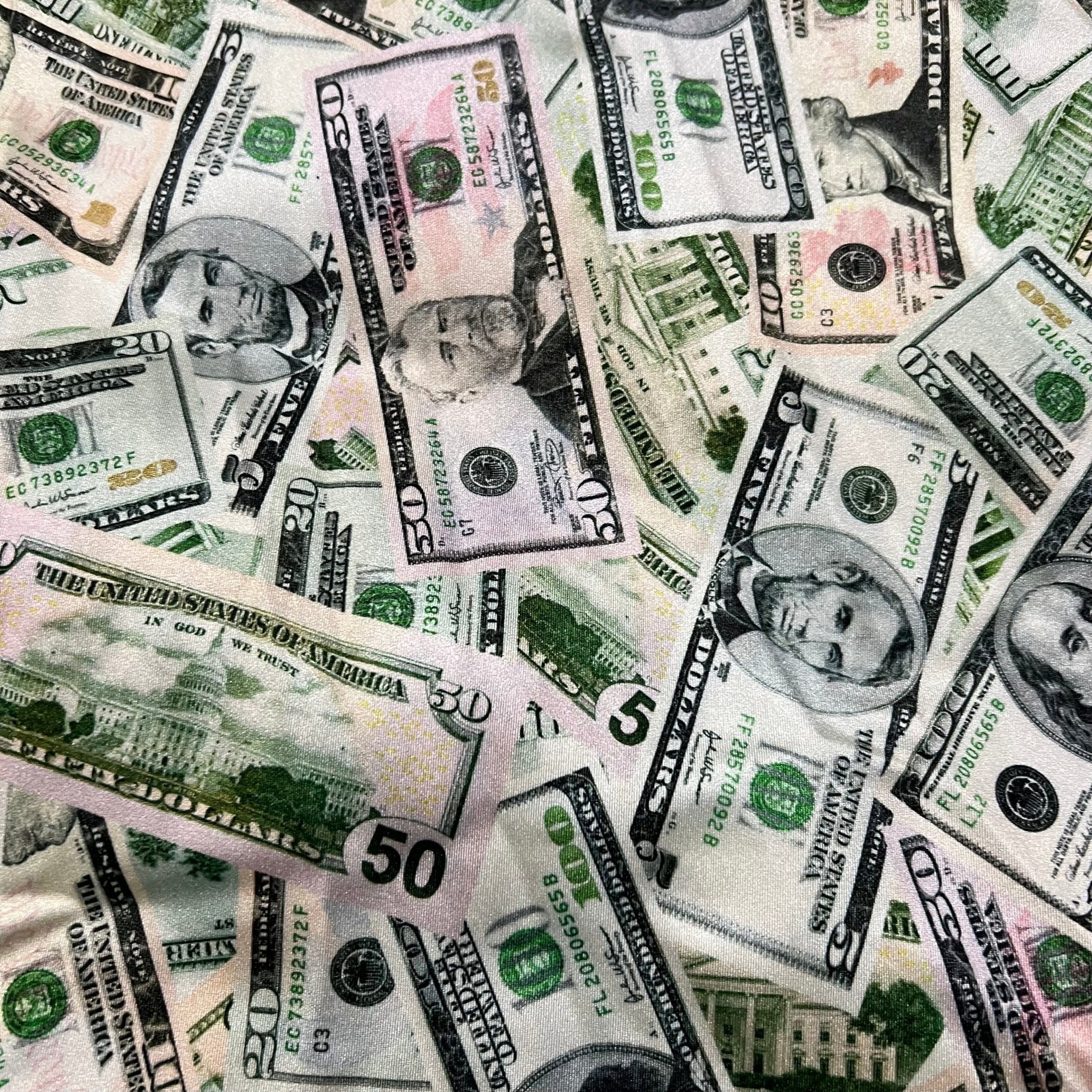 Cold Cash Print Spandex Fabric - Coquetry Clothing