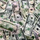 Cold Cash Print Spandex Fabric - Coquetry Clothing
