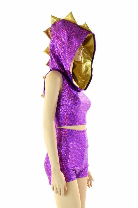 Purple & Gold Spyro Dragon Set - Coquetry Clothing