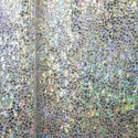 Silver Holographic Crop & Skirt - 4