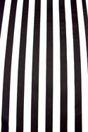 Legging Style Stilt Pants in Black and White Vertical Stripe - 6