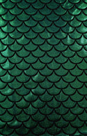 Green Mermaid High Waist Shorts - 7