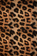 Leopard Print Spandex Fabric - 1