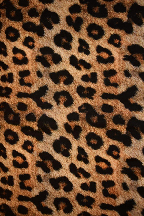 Leopard Print Halter Skater Dress - 7