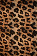 Leopard Print A-line Drawstring Keyhole Dress - 7