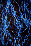 UV Blue Lightning Fabric - 2