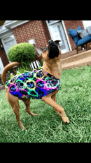 Black and Purple Dragon Spiked Pet Shirt - Coquetry Clothing