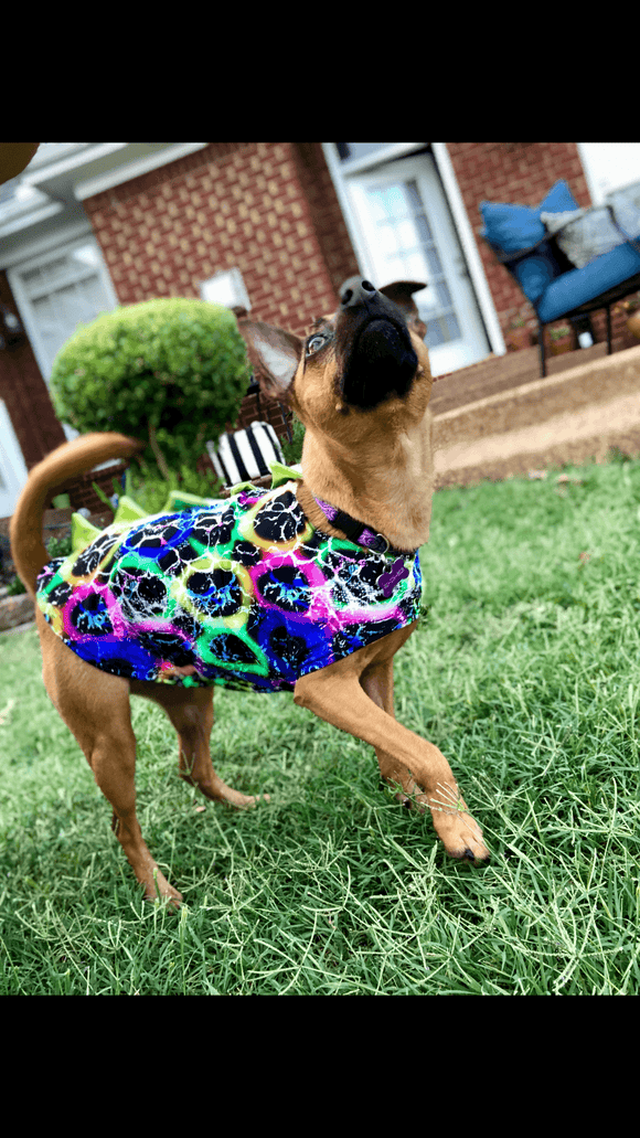 Black and Purple Dragon Spiked Pet Shirt - Coquetry Clothing