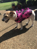 Black and Turquoise Dragon Spiked Pet Shirt - Coquetry Clothing