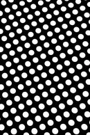 Black & White Polka Dot Skirt - Coquetry Clothing