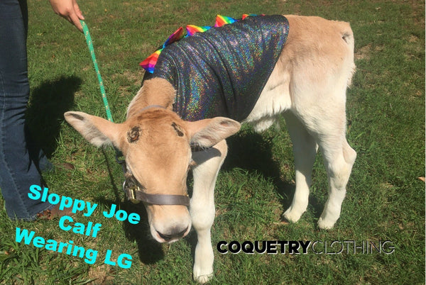 Blue Lightning Pet Shirt - 12