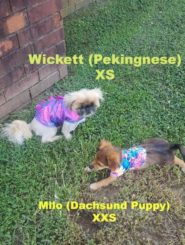 Blue Lightning Pet Shirt - 6