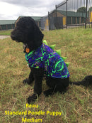 Blue Lightning Pet Shirt - Coquetry Clothing