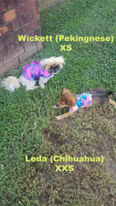 Build Your Own Pet Shirt - Coquetry Clothing