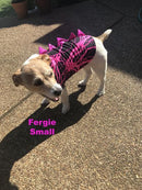 Build Your Own Pet Shirt - Coquetry Clothing