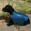 Build Your Own WINGED Dragon Pet Shirt - Coquetry Clothing