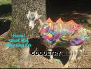 Build Your Own WINGED Dragon Pet Shirt - Coquetry Clothing