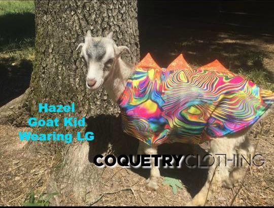 Build Your Own WINGED Dragon Pet Shirt - 18