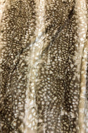 Cappuccino Fawn Minky Faux Fur Fabric - 2