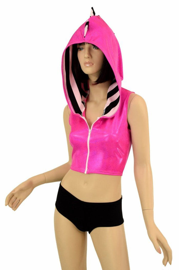 Dragon Crop Hoodie & Cheekies Set - 3