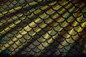 Girls Mermaid Skirt (Skirt Only) - 13