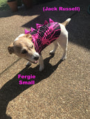 Lilac Dragon Spiked Pet Shirt - Coquetry Clothing