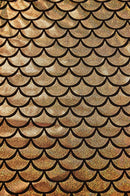 Not A Cardigan in Gold Dragon Scale - Coquetry Clothing