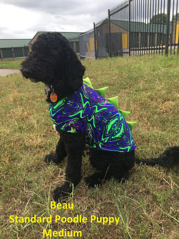 Rainbow Dragon Spiked Pet Shirt - Coquetry Clothing