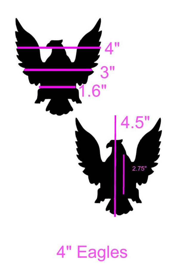 Rainbow Stripe Eagle Pasties - 2