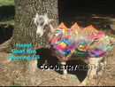 Rainbow Stripe Spiked Pet Shirt - Coquetry Clothing