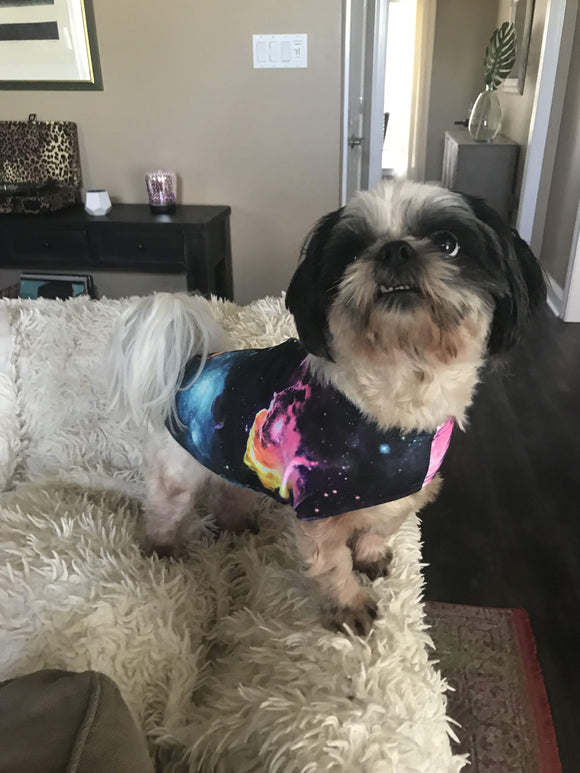 Red & Blue Harlequin Pet Shirt - Coquetry Clothing