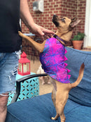 Red & Blue Harlequin Pet Shirt - Coquetry Clothing