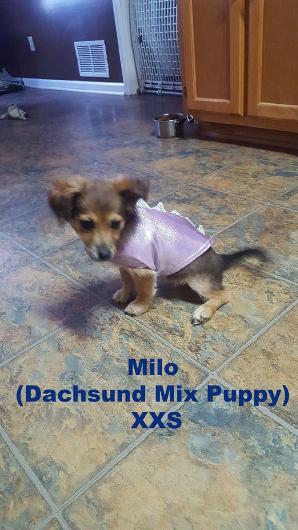 Seafoam Dragon Spiked Pet Shirt - Coquetry Clothing