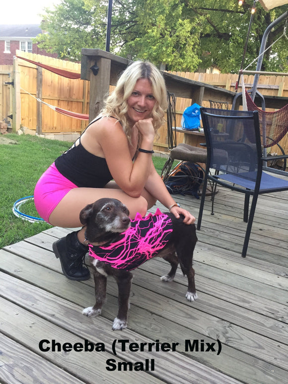 Seafoam Dragon Spiked Pet Shirt - Coquetry Clothing