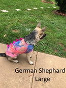 Silver & Black Spiked Pet Shirt - Coquetry Clothing