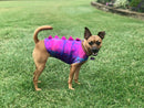 Super Hero Spiked Pet Shirt - Coquetry Clothing