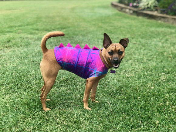 Super Hero Spiked Pet Shirt - Coquetry Clothing