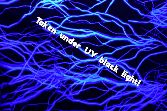 UV Blue Lightning Fabric - Coquetry Clothing