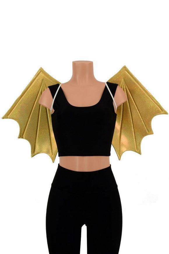 Wireless Dragon Wings (Wings Only) - Coquetry Clothing